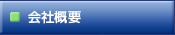 ЊTv